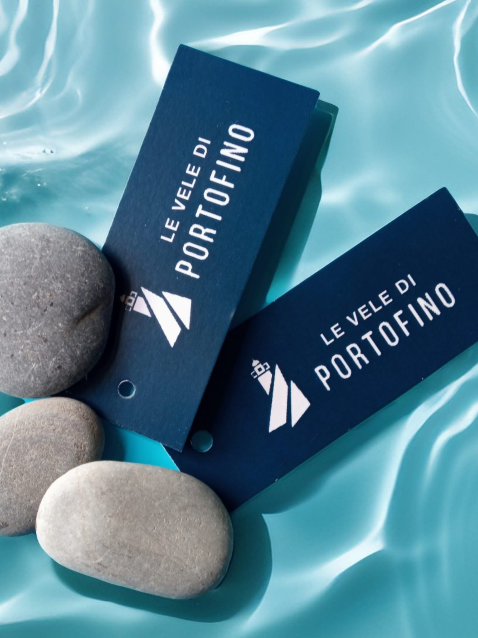 Immagine WhatsApp 2025-01-28 ore 17.19.36_62532997