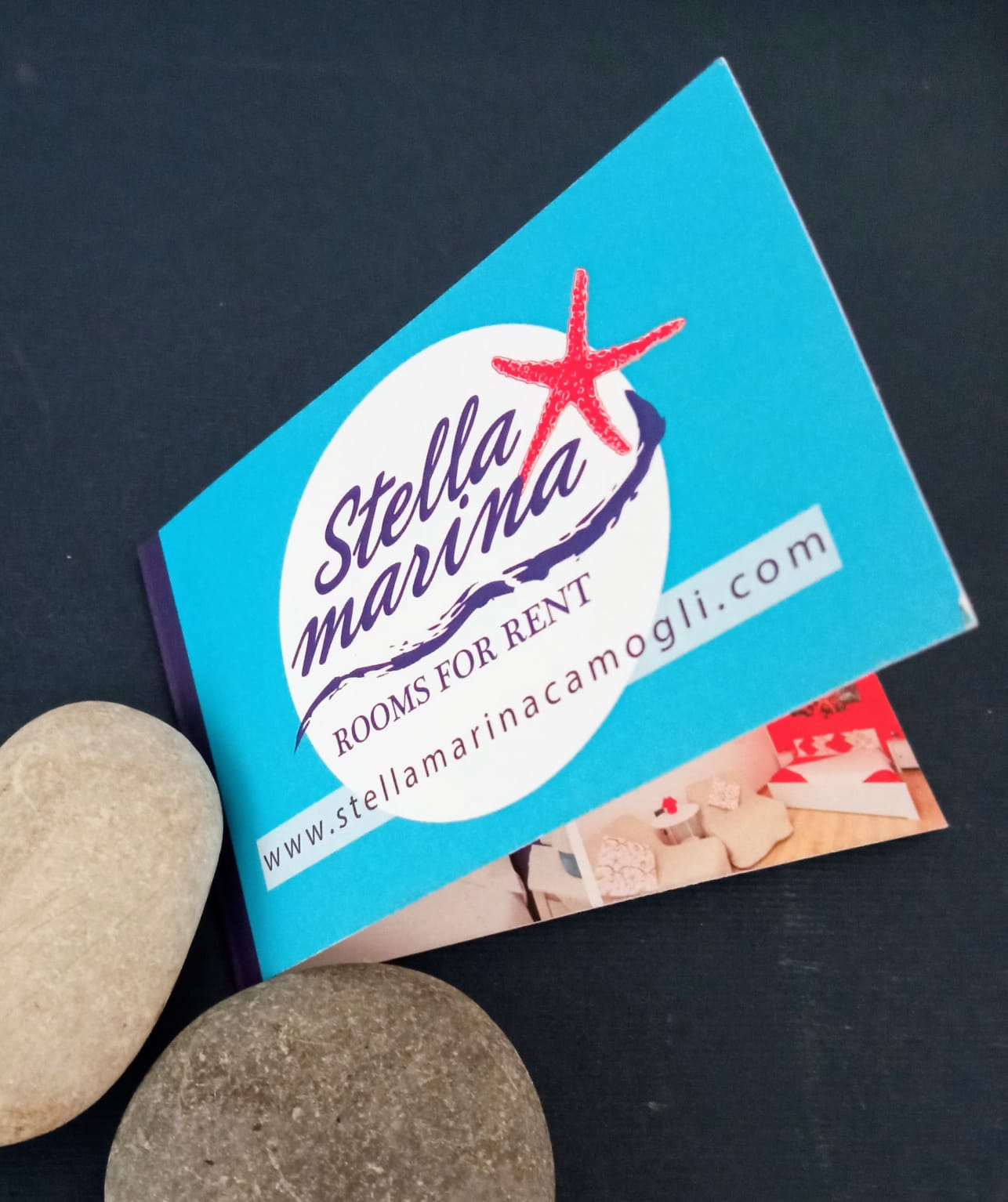 Immagine WhatsApp 2025-01-28 ore 17.21.18_bb17ea70