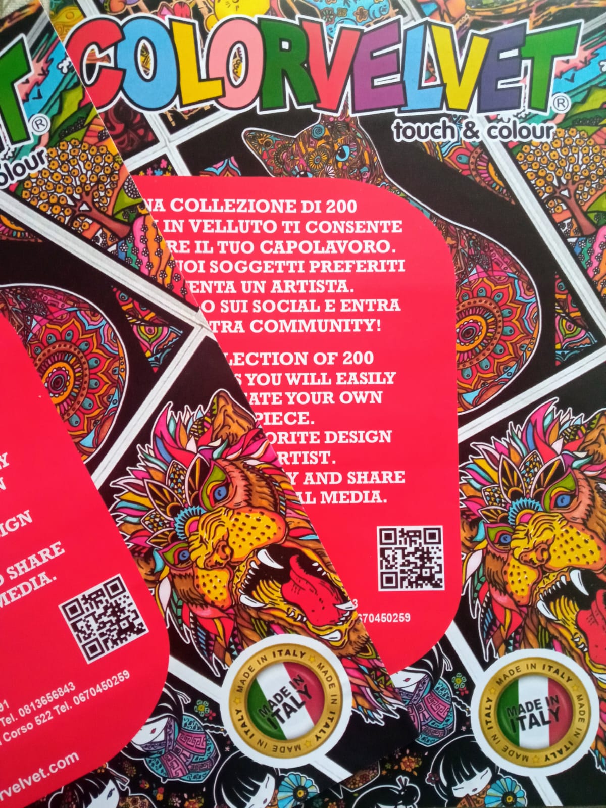 Immagine WhatsApp 2025-01-28 ore 17.38.02_9e70bff2