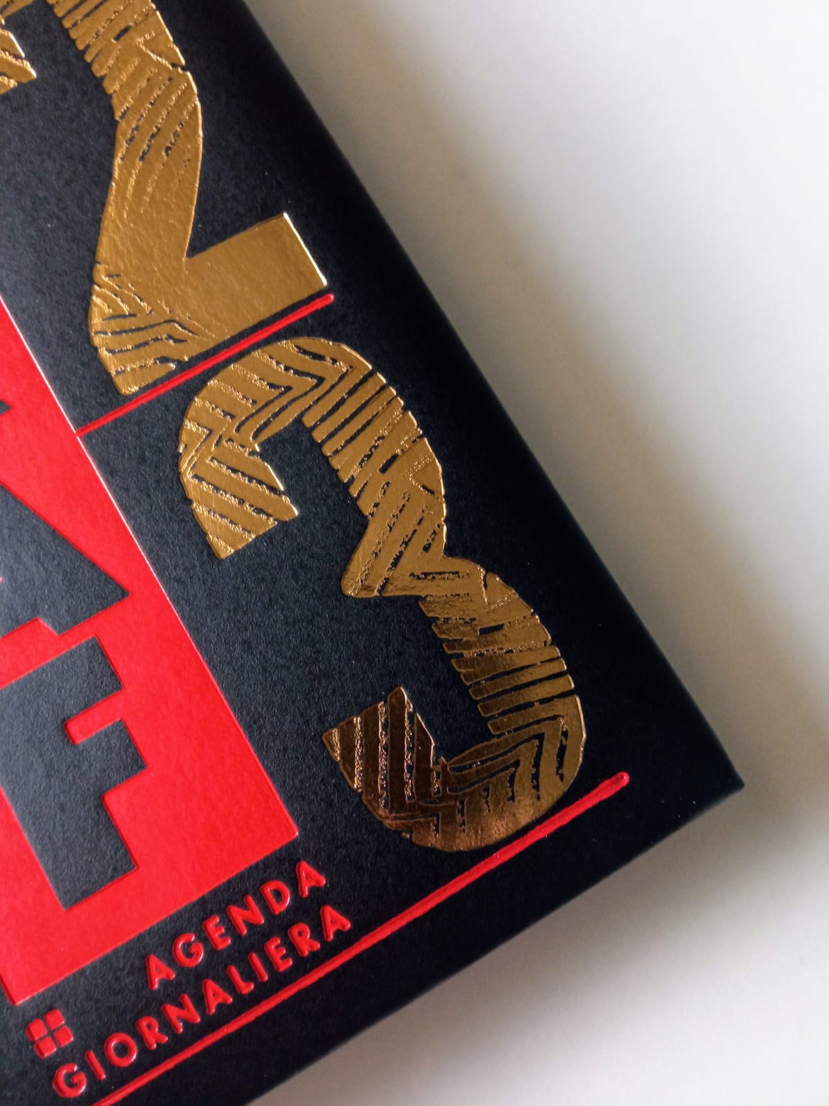 Immagine WhatsApp 2025-01-28 ore 17.38.41_07f605e0