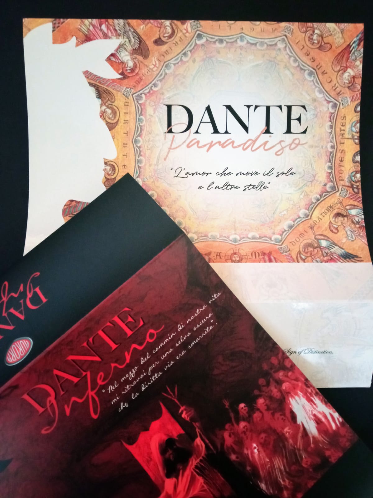 Immagine WhatsApp 2025-01-28 ore 17.41.53_5f3940fa